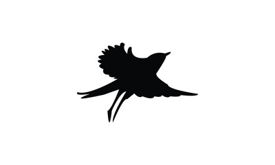 Flying Bush Warbler Bird Silhouette Design  And Vector Illustration. 
