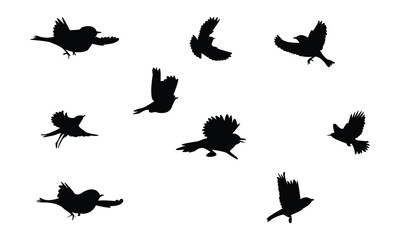 Flying Bush Warbler Bird Silhouette Design  And Vector Illustration. 