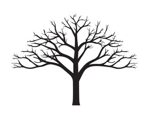 Tree without leaves vector silhouette illustration