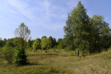 Landschaft im Zeitzer Forst bei Breitenbach nahe der Stadt Zeitz, Burgenlandkreis, Sachsen-Anhalt, Deutschland