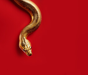 Fototapeta premium Golden snake on red background, Chinese New Year, year of the snake