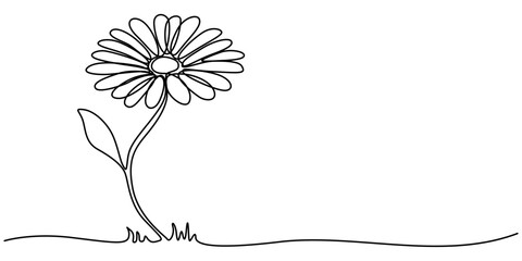 One continuous line drawing. Printable decorative poster common daisy flower concept chamomile, Daisy flower in continuous line art drawing style. Chamomile One line drawing art. Minimalist black line