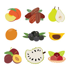 Tropical Fruits Extravaganza. Vector Illustration