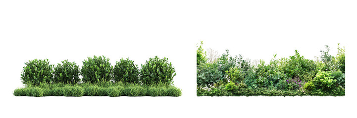 Fototapeta premium Set of Lush garden bushes isolated on a transparent background