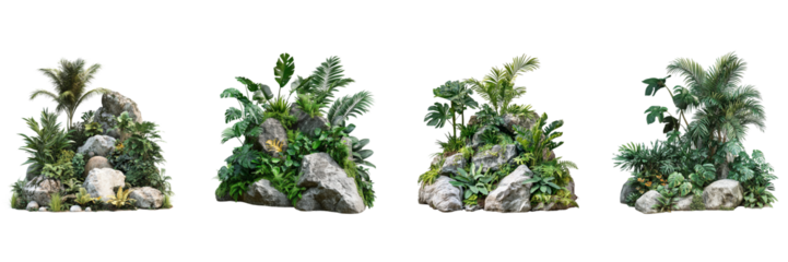 Set of Lush tropical plants and rocks isolated on a transparent background