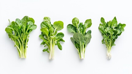 Fototapeta premium Nutritional benefits of leafy greens kitchen infographic bright informative