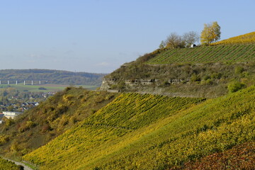 Fototapeta premium Weinberge bei Thüngersheim, Landkreis Main-Spessart, Unterfranken, Bayern, Deutschland