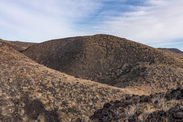 Cima volcanic field. Kelbaker Road, Mojave National Preserve. San Bernardino County, California. Mojave Desert / Basin and Range Province. Yucca schidigera, Mojave yucca or Spanish dagger