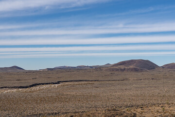  Cima volcanic field. Kelbaker Road, Mojave National Preserve. San Bernardino County, California. Mojave Desert / Basin and Range Province. Yucca schidigera, Mojave yucca or Spanish dagger