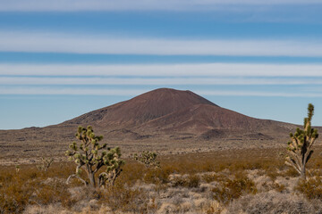 Cima volcanic field. Kelbaker Road, Mojave National Preserve. San Bernardino County, California....