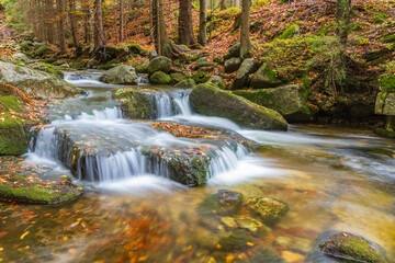 Mountain stream cascade in the autumn forest