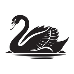 black swan illustration