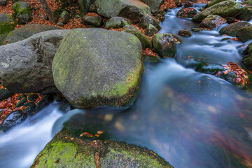Mountain stream cascade in the autumn forest