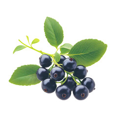 a close up of berries