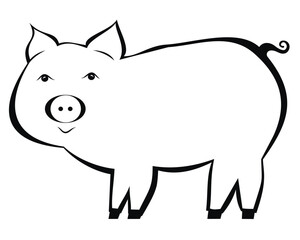 Black pig isolated on white background. Vector illustration.