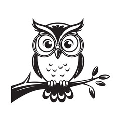 owl on white background