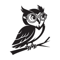 owl on white background