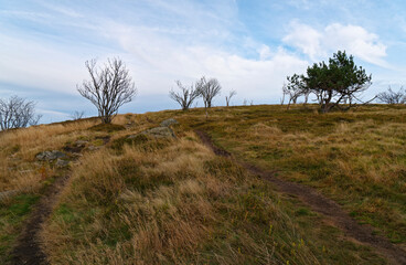 Rhönlandschaft zwischen Pferdskopf und Wasserkuppe, Gemeinde Poppenhausen, Biosphärenreservat Rhön, Hessen, Deutschland