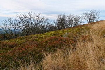 Rhönlandschaft zwischen Pferdskopf und Wasserkuppe, Gemeinde Poppenhausen, Biosphärenreservat Rhön, Hessen, Deutschland