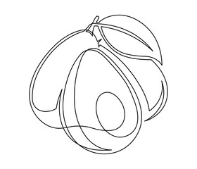 Line avocado with leaf isolated on white background. Simple silhouette of fruit. Hand drawn avocado outline. Vector illustration