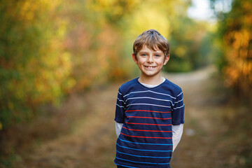 Portrait of little cool kid boy in forest. Happy healthy child having fun on warm sunny day early autumn. Family, nature, love and active leisure.
