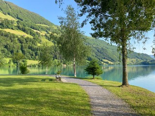 Fototapeta premium Islet Lungern from a bird's eye view at Lungern Lake or Lungerensee - Canton of Obwalden, Switzerland (Inseli Lungern aus der Vogelperspektive am Lungernsee - Kanton Obwald, Schweiz)