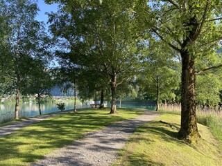Islet Lungern from a bird's eye view at Lungern Lake or Lungerensee - Canton of Obwalden, Switzerland (Inseli Lungern aus der Vogelperspektive am Lungernsee - Kanton Obwald, Schweiz)