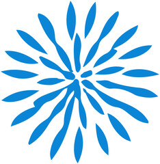 Fireworks Display icon
