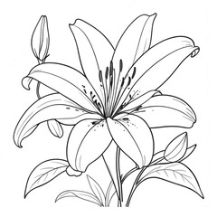 Hand Drawing Line Art Lily Coloring Pages for KDP