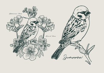 Hand drawn Sparrow with Alstroemeria and Almond Flower Botanical Frame