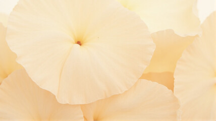 paper texture