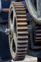 Close up of wheel cog