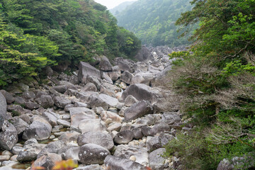 屋久島の荒川登山口近くの橋から光景