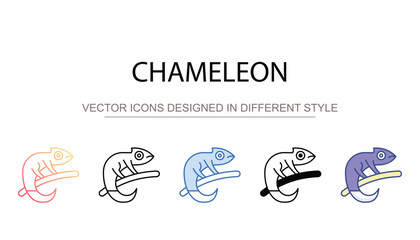 Chameleon icon design with white background stock illustration
