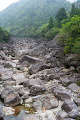 屋久島の荒川登山口近くの橋から光景