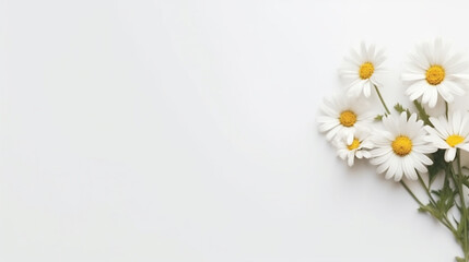 Obraz premium luxurious Flowers and leafs with isolated on white background 