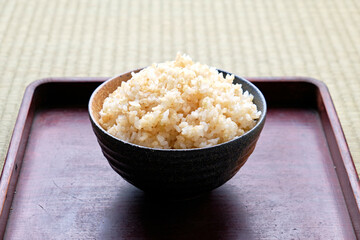 Japanese Rice on Tray