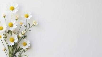 Autumn leaves and berries from various trees and bushes white space available for text Leaves with copy space water colour floral back