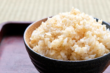 Japanese Rice on Tray