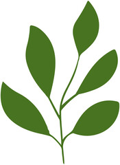 Naklejka premium Simple leaf icon