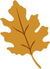 Obraz premium Thanksgiving Autumn leaves 