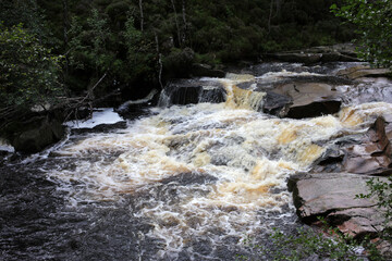 Glen tanar water - Mount Keen trail from  Glen Tanar - Aberdeenshire - Scotland - UK