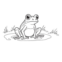 Frog  line art on white backgroun