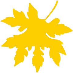 Maple Leaf Silhouette
