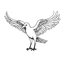 Crow line art on white backgroun