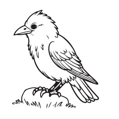Obraz premium Crow line art on white backgroun