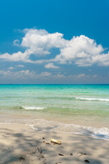 Beautiful tropical beach with scenery palm tree, crystal clear ocean on nature background