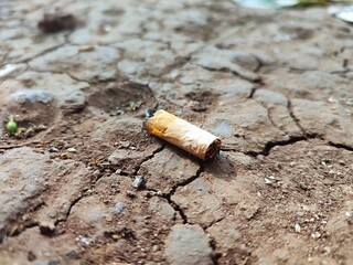 Cigarette bud is a persistent form of toxic plastic pollution. Cigarette bud is thrown on the ground