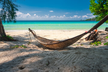 Obraz premium Beautiful tropical beach with scenery palm tree, crystal clear ocean on nature background