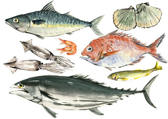 水彩で描いたいろいろな魚のセット【手描きイラスト】素材 白バック 透過背景